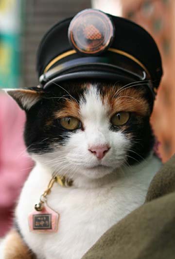 Tama Station Master Cat